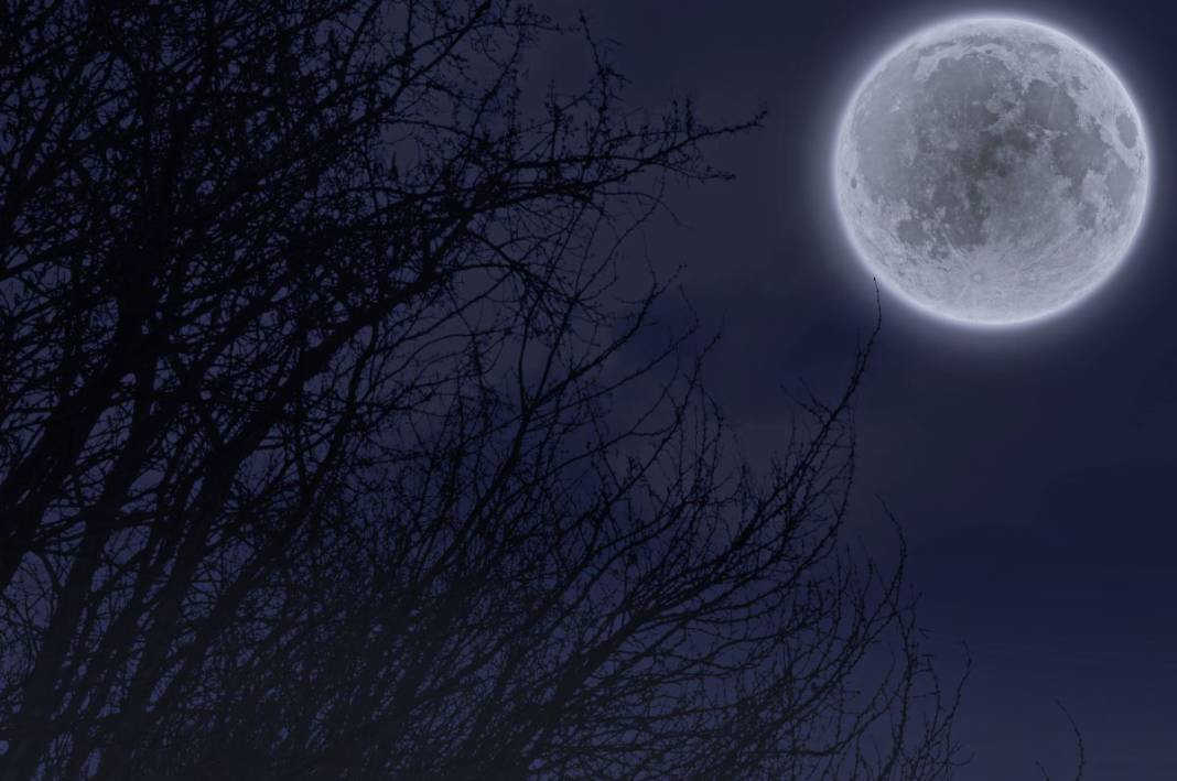 19 Ağustos tarihine dikkat! Kova Dolunay'ı geliyor: Bitmez denen ilişkiler bitecek, olmaz denilenler olacak - Resim: 25